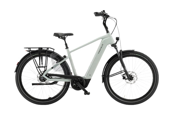 Pegasus Ravenna EVO 8F Belt